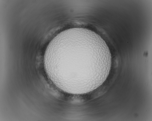 X0000113200322200910081258
