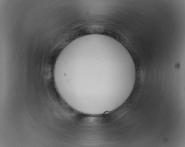 X0000113200323200910081258