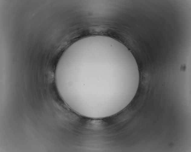 X0000113200324200910081258