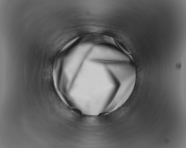 X0000113200325200910081258