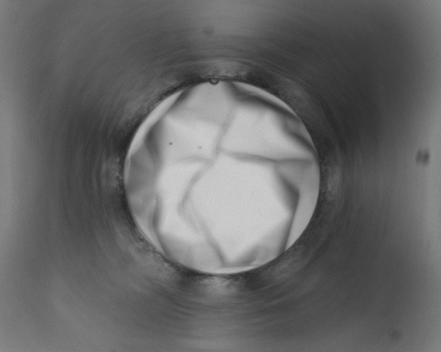 X0000113200326200910081258