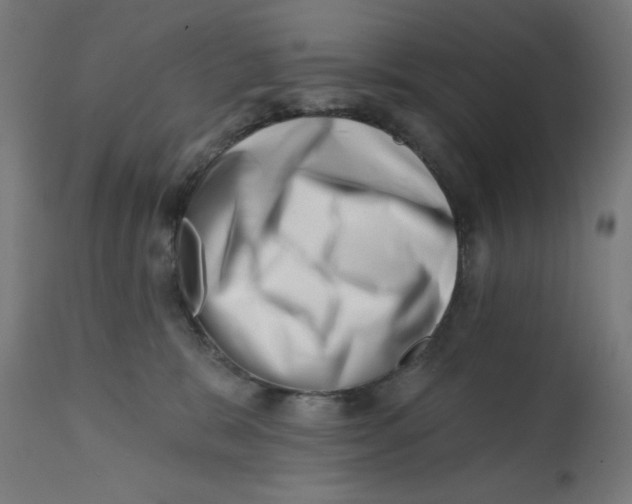 X0000113200327200910081258