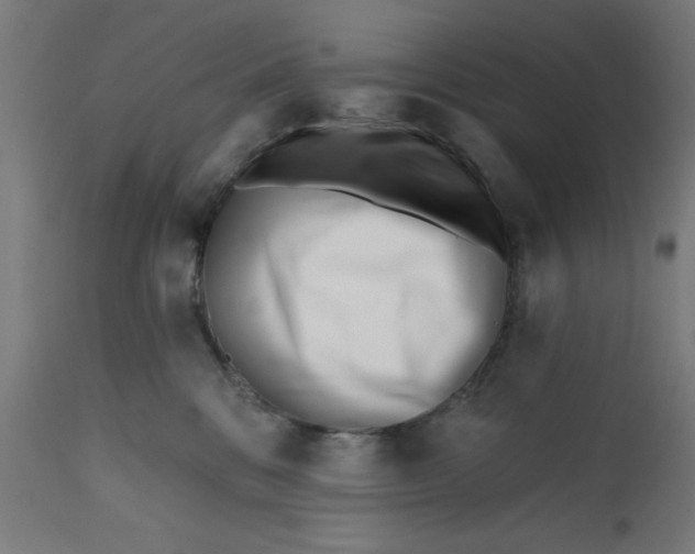 X0000113200328200910081258