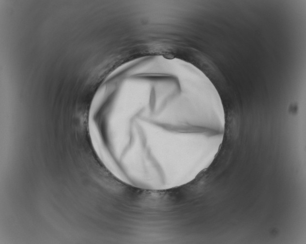 X0000113200329200910081258