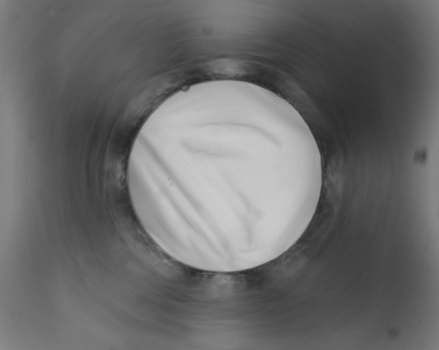 X0000113200330200910081258