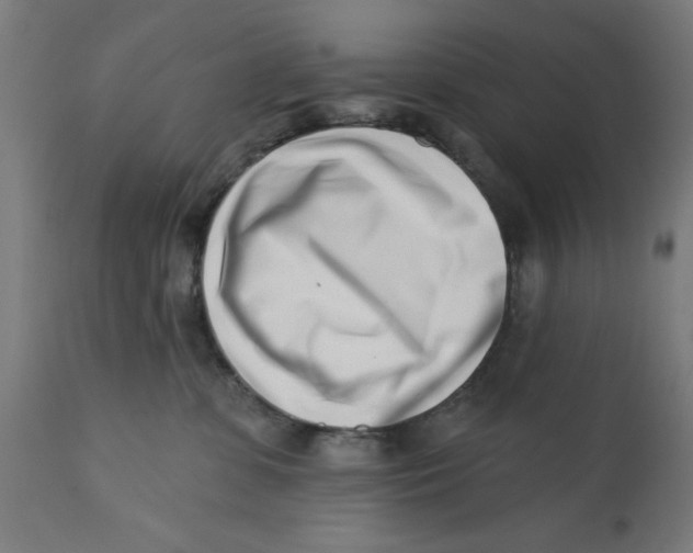 X0000113200331200910081258