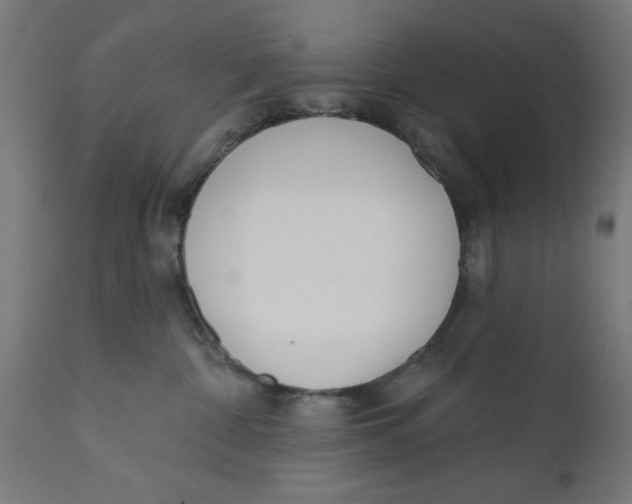 X0000113200332200910081258