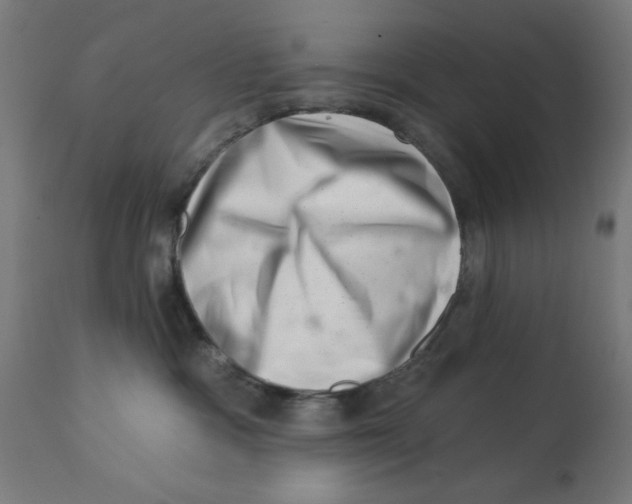 X0000113200333200910081258