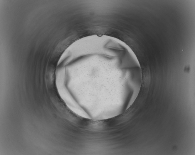 X0000113200334200910081258
