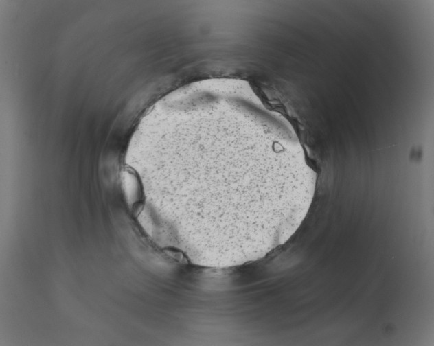 X0000113200335200910081258