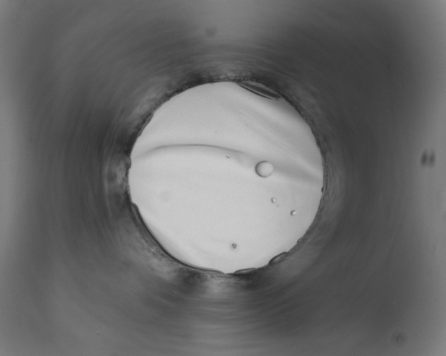 X0000113200336200910081258