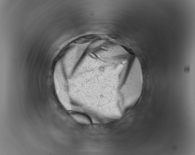 X0000113200338200910081257