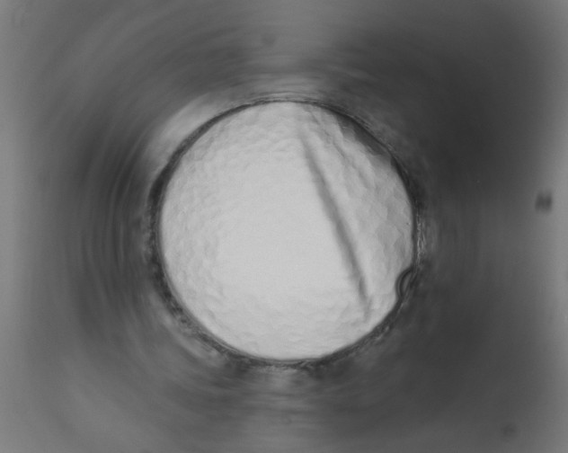 X0000113200339200910081257