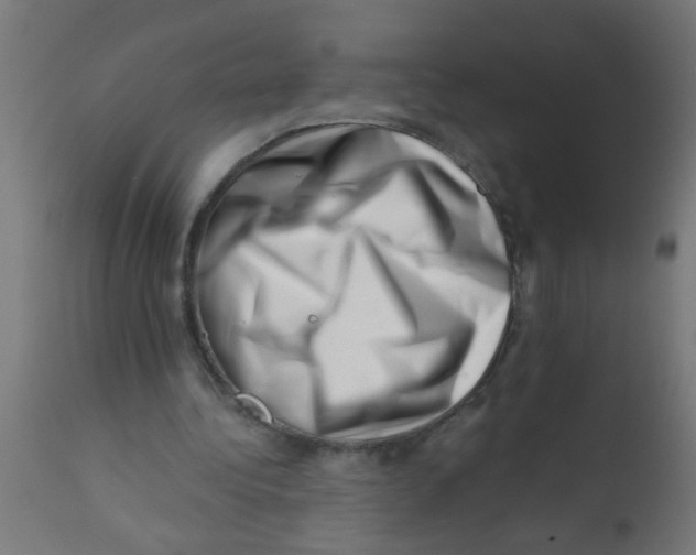 X0000113200340200910081257