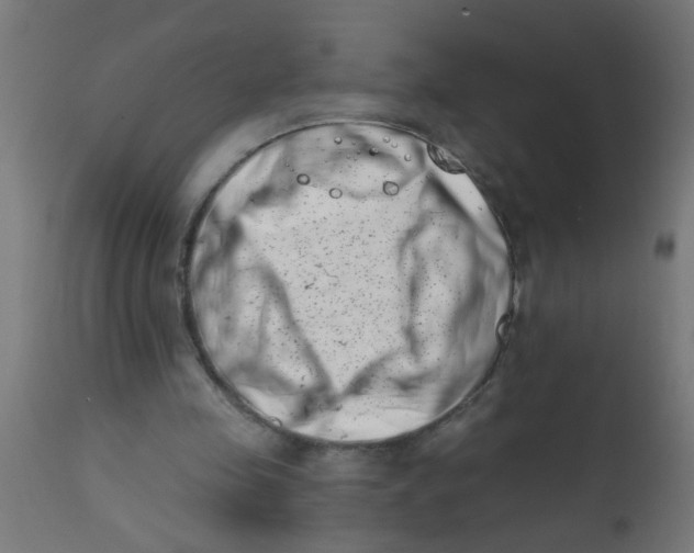 X0000113200341200910081257