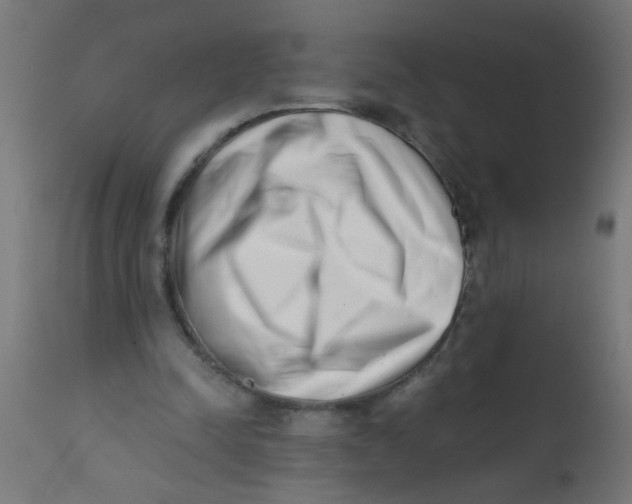 X0000113200342200910081257