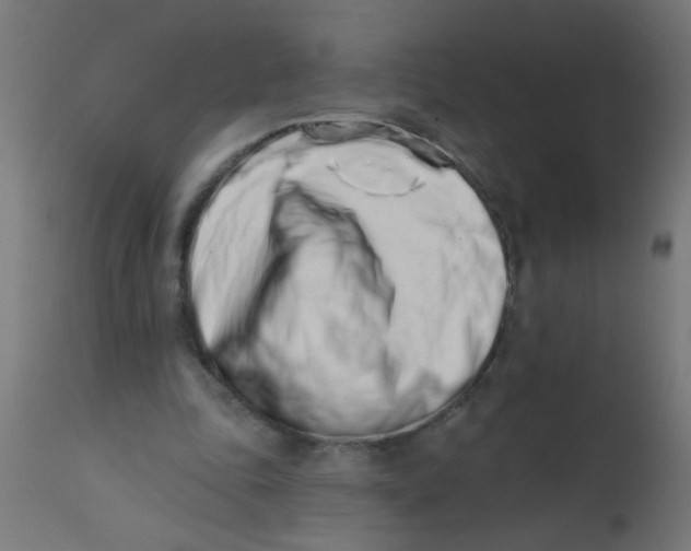 X0000113200343200910081257
