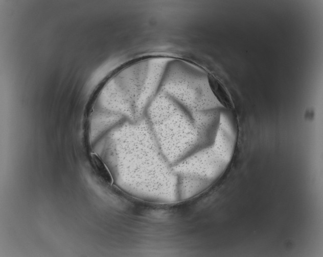 X0000113200344200910081257