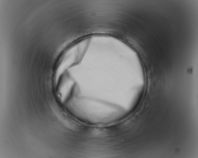 X0000113200346200910081257
