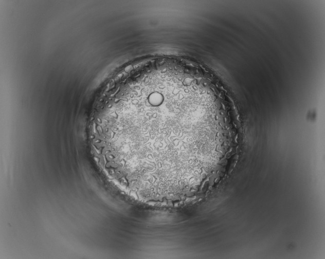 X0000113200347200910081257