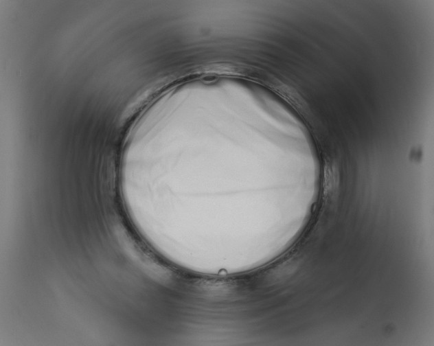 X0000113200349200910081257