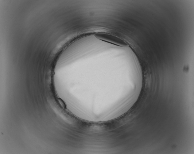 X0000113200350200910081257