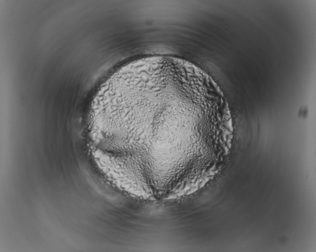 X0000113200351200910081257