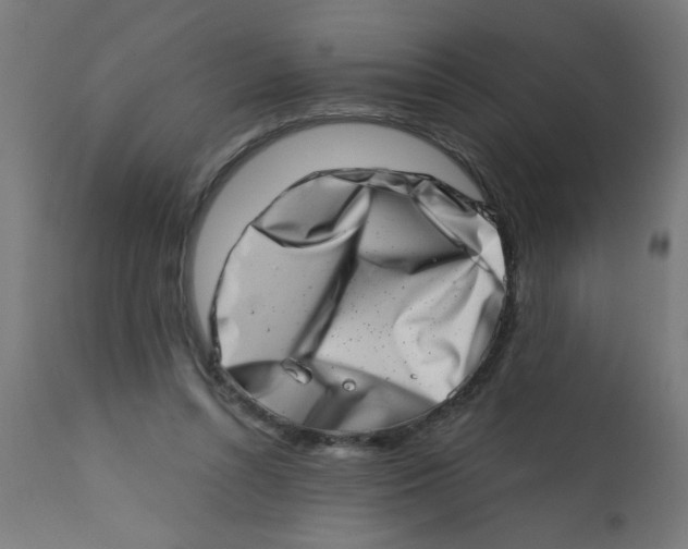 X0000113200352200910081257