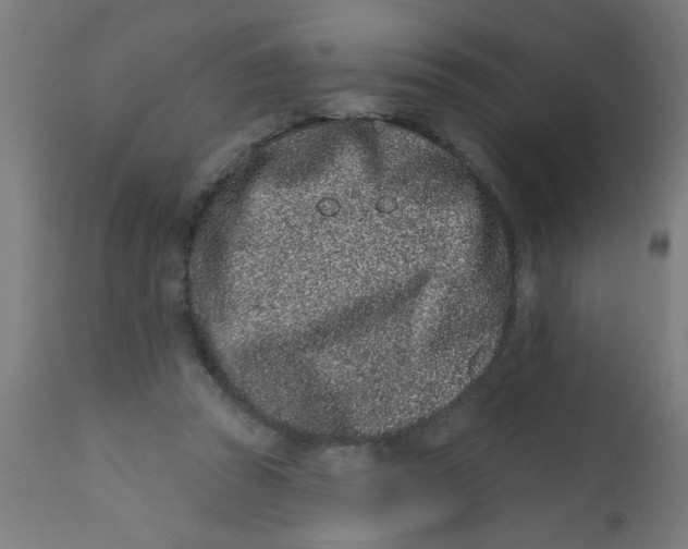 X0000113200353200910081257