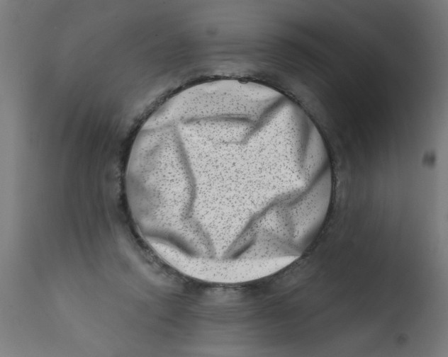 X0000113200354200910081257
