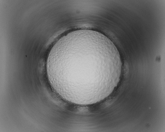 X0000113200355200910081257