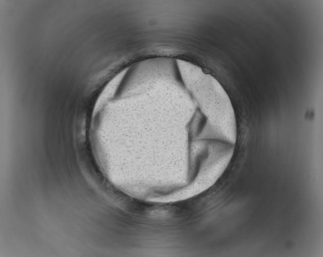 X0000113200358200910081257