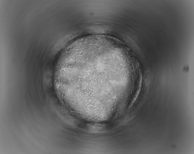 X0000113200359200910081257