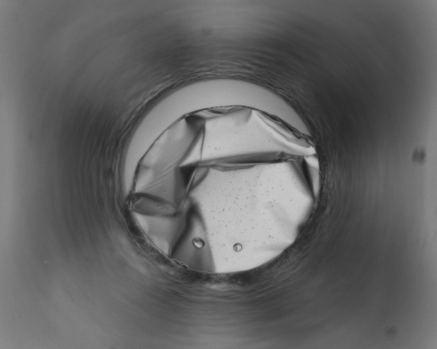 X0000113200360200910081257
