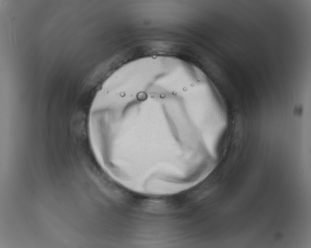 X0000113200361200910081257