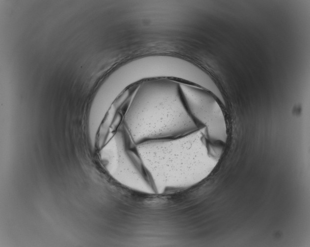 X0000113200362200910081257