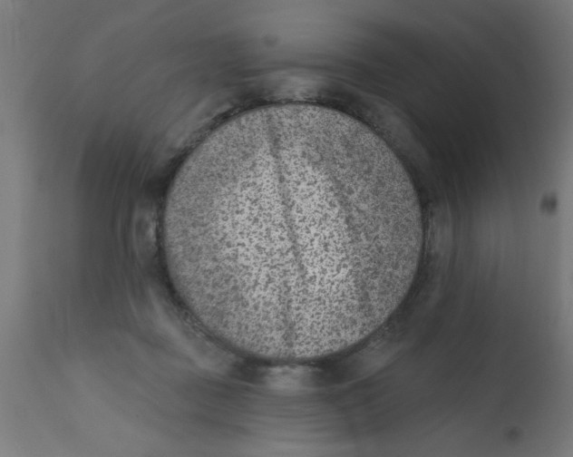 X0000113200363200910081257