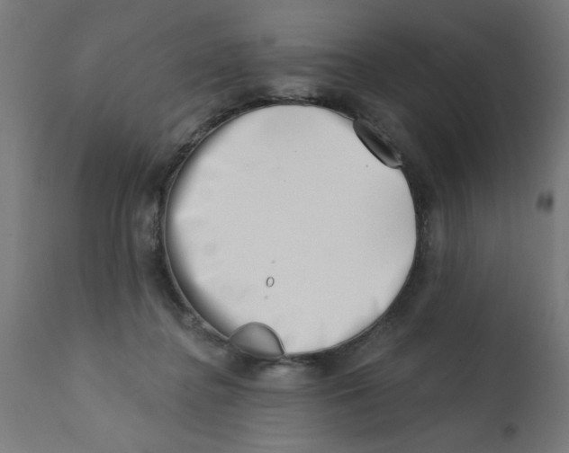 X0000113200364200910081258