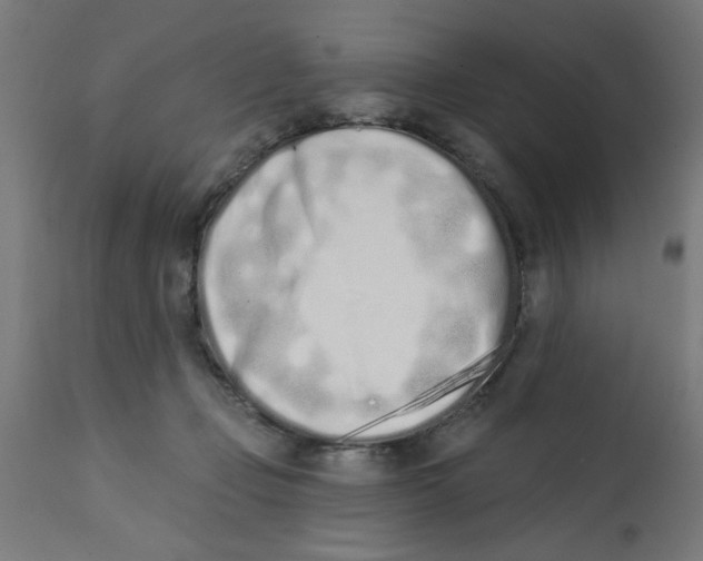 X0000113200365200910081258