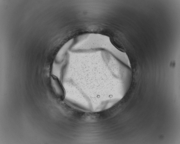 X0000113200368200910081258