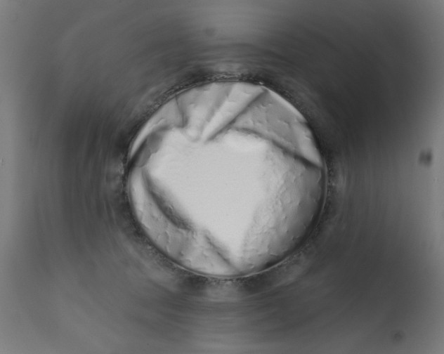 X0000113200369200910081258