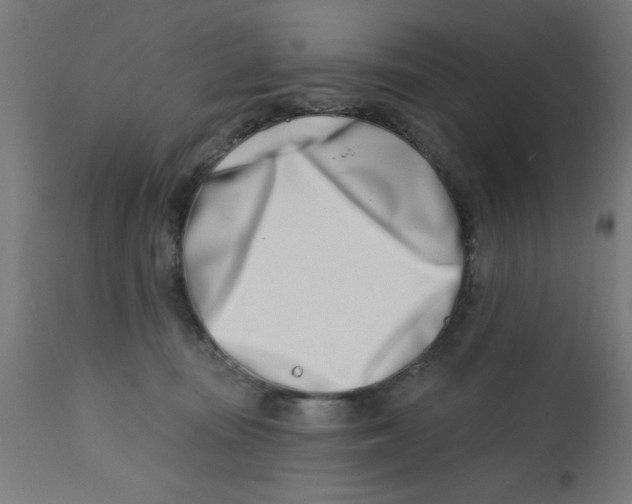 X0000113200371200910081258