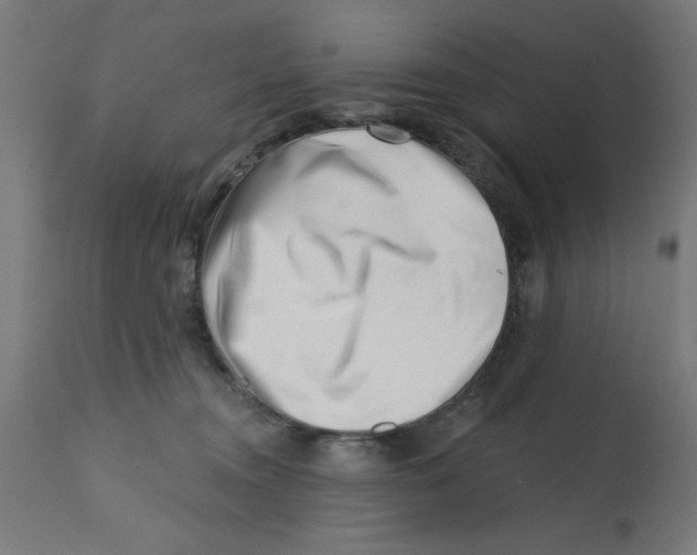 X0000113200372200910081258