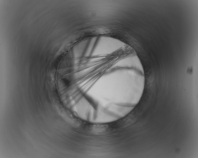 X0000113200373200910081258