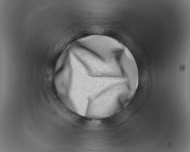 X0000113200374200910081258