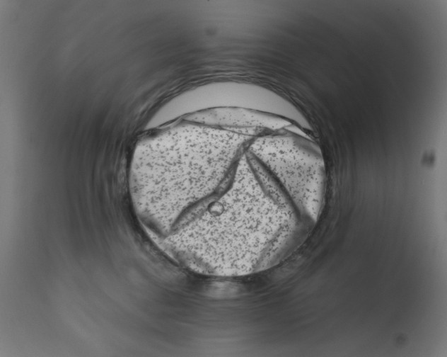 X0000113200376200910081258