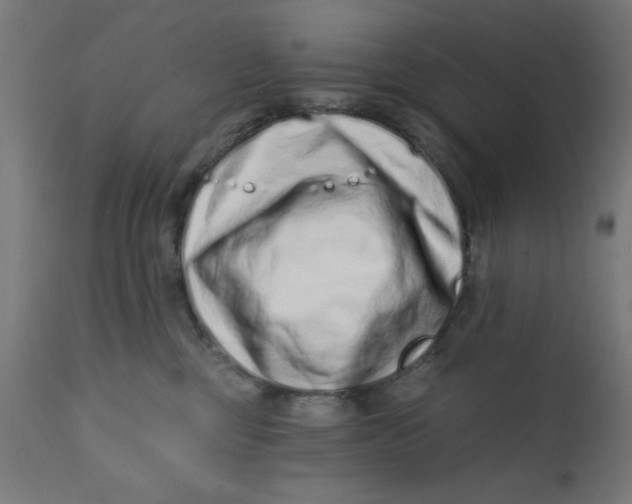 X0000113200377200910081258