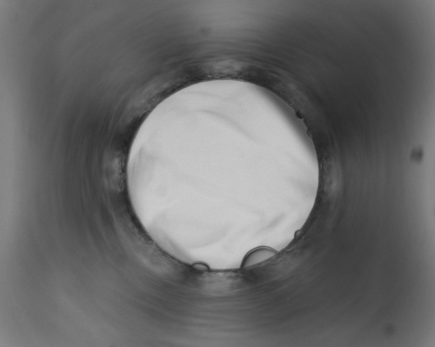 X0000113200378200910081258