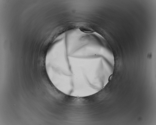 X0000113200379200910081258