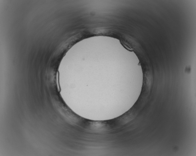 X0000113200380200910081258